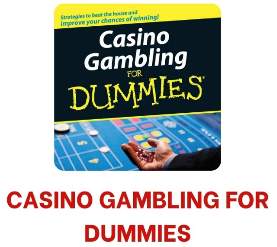 Casino Gambling for Dummies - TOP 30 CUỐN SÁCH HAY VỀ CASINO BẠN NÊN ĐỌC